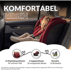 OWEN® 3-in-1 Kindersitz mit ISOFIX 360º Comfy